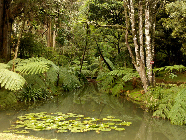 Hakgala Botanical Gardens