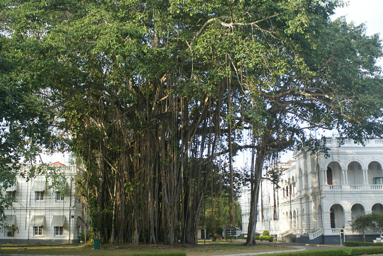 National Museum of Sri Lanka