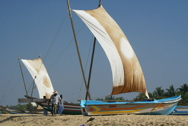 Negombo beach resort fishing boats in Sri Lanka Negombo beach boats
