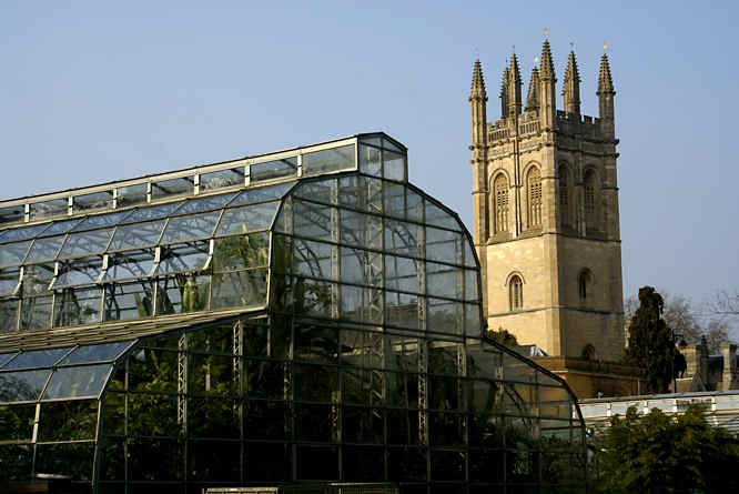 Tropical Greenhouses