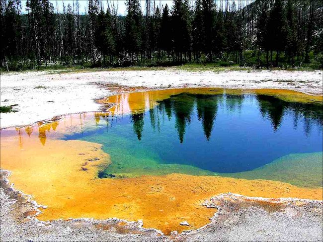 hot springs in Yellowstone