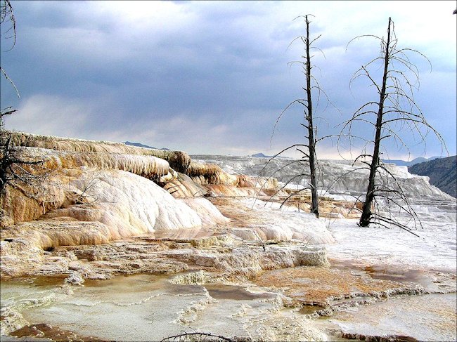 Mammoth Hot Springs USA