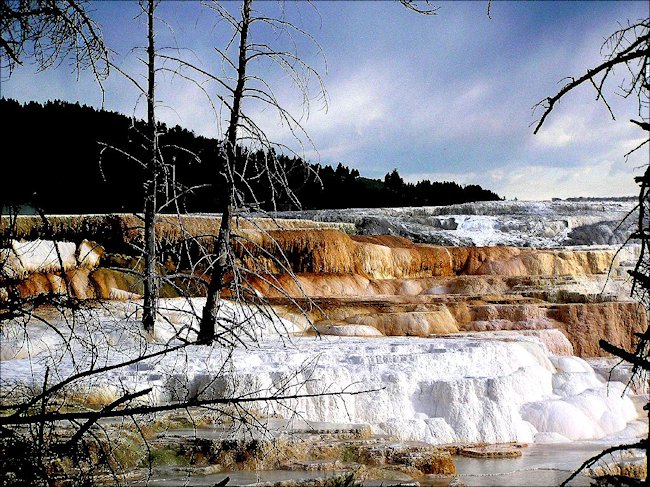 Photo of Mammoth Hot Springs in Yellowstone National Park USA Mammoth Hot Springs