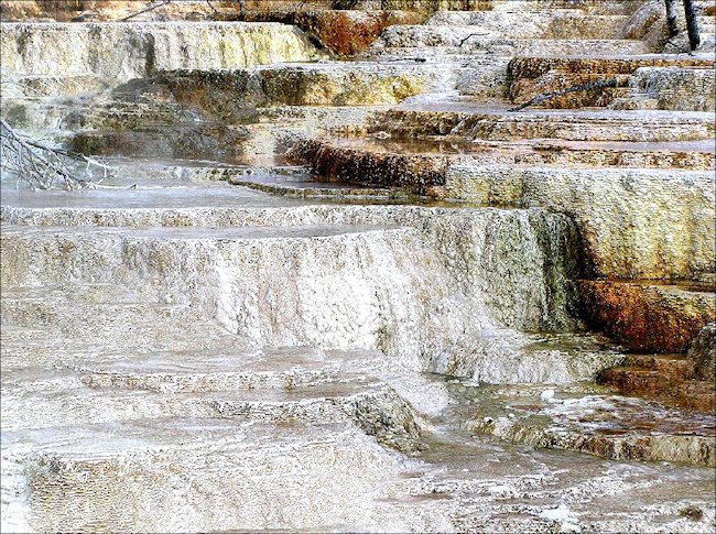 Mammoth Hot springs terrace