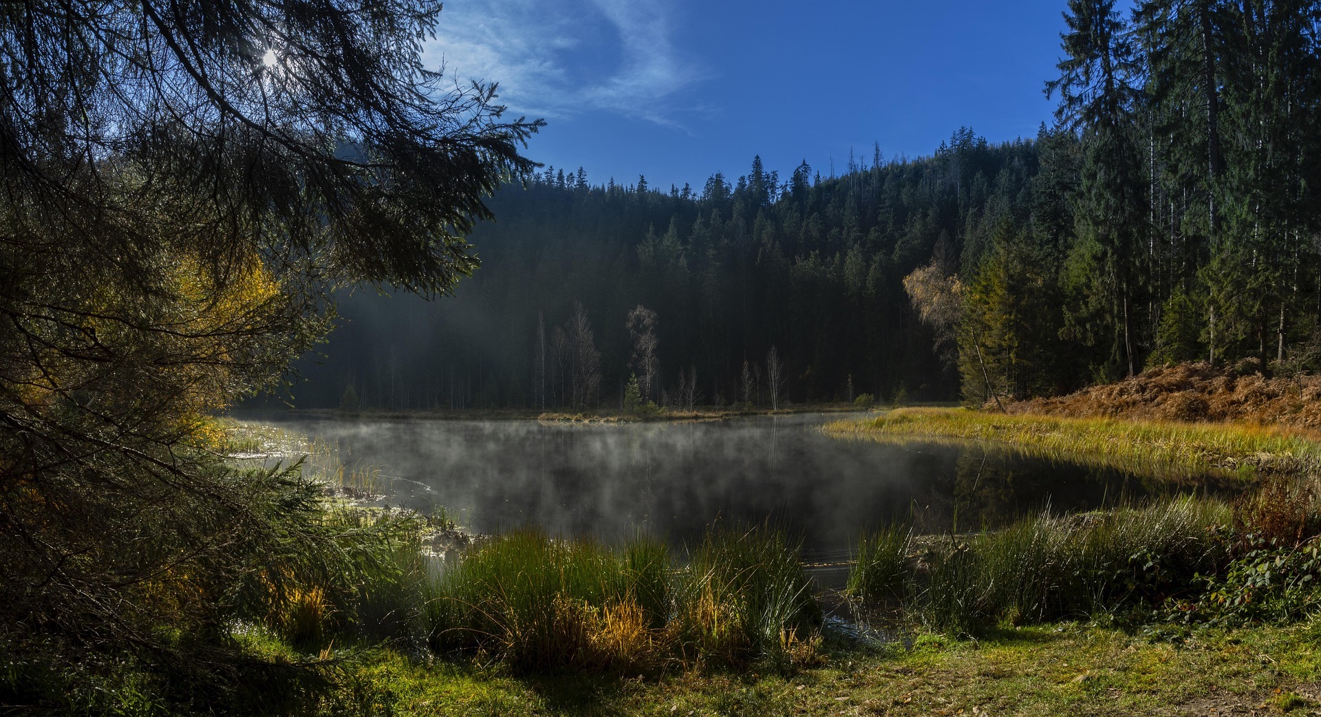 Wellnessregion Schwarzwald Wellnessregionen DACH