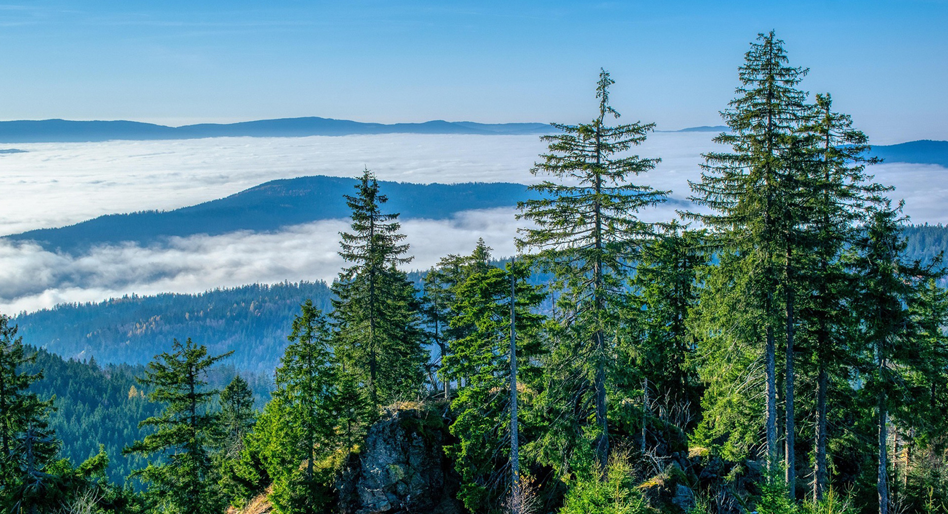 Wellnessregion Bayerischer Wald Wellnessregionen DACH