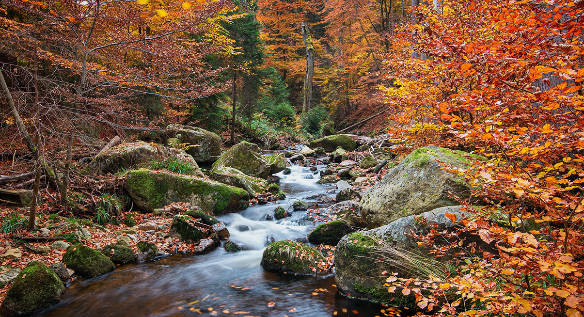 Wellnessregion Harz Wellnessregionen DACH