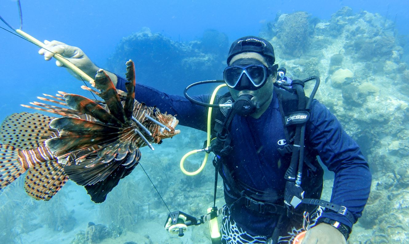 Lionfish invasion world scholastic predatory atlantic halfway moving taking around over