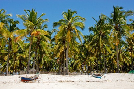 Beach in Mozambique