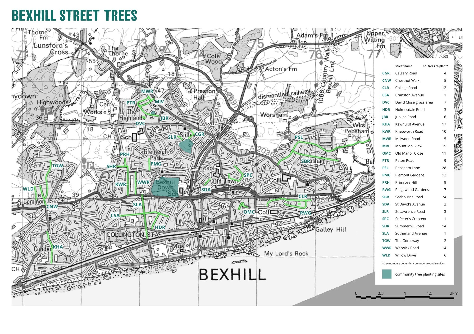 New Street Trees for Bexhill Trees for Cities