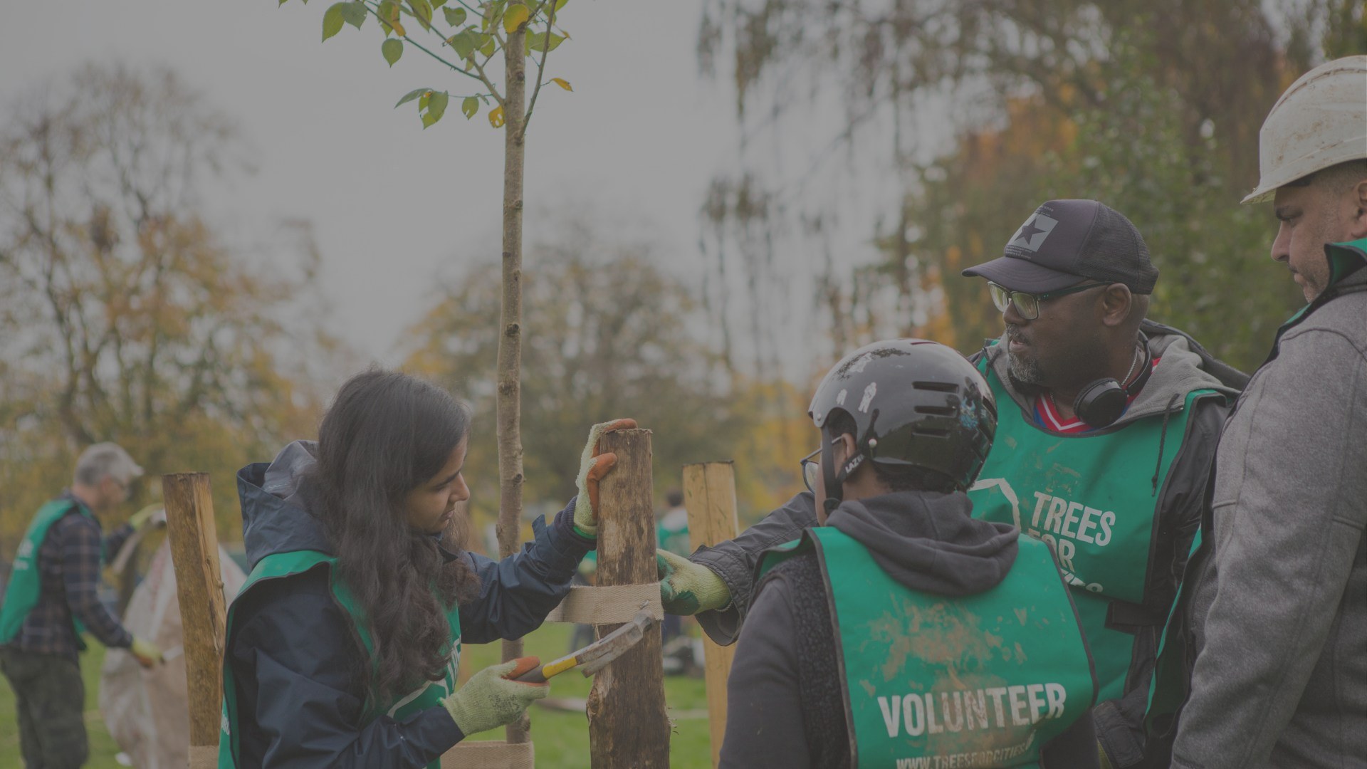 Plant Hope This Winter