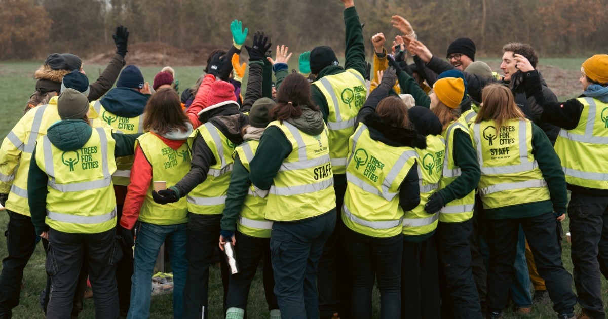 Find out about life at Trees for Cities and the range of benefits we