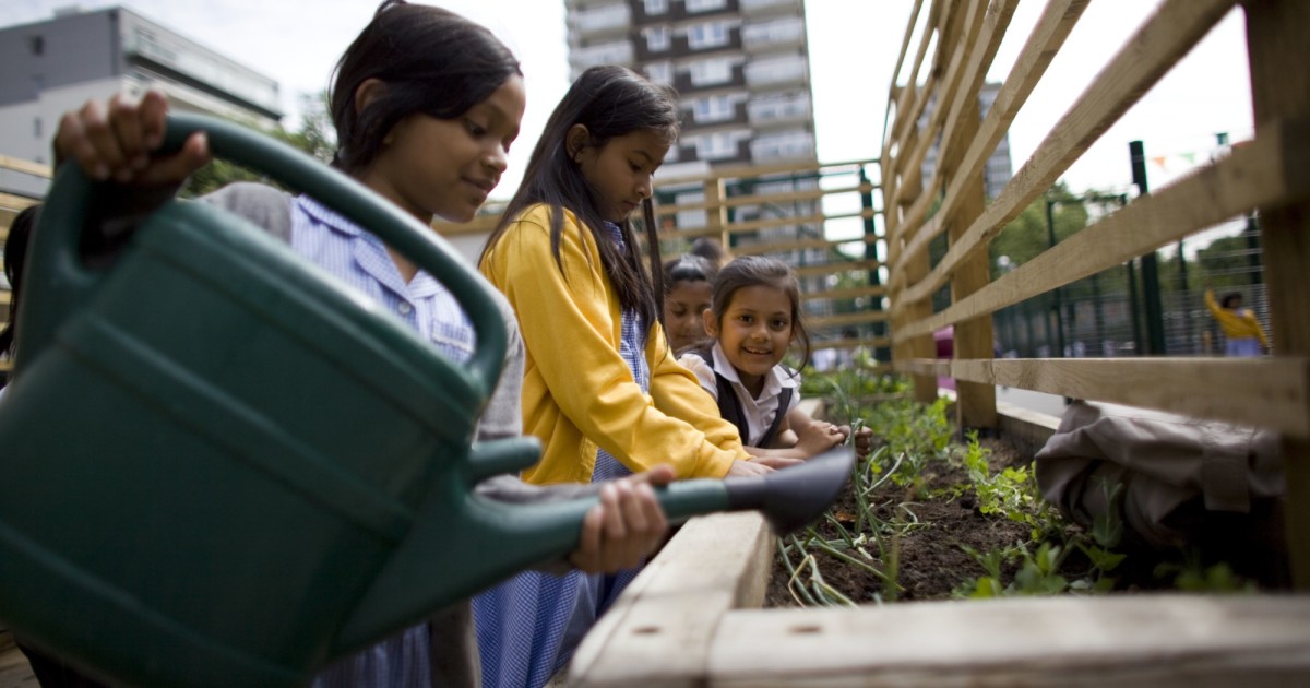 Edible Playgrounds Trees for Cities