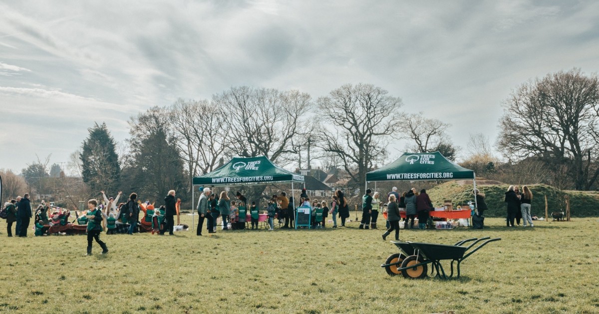 Trees for Cities' Charity Impact Trees for Cities