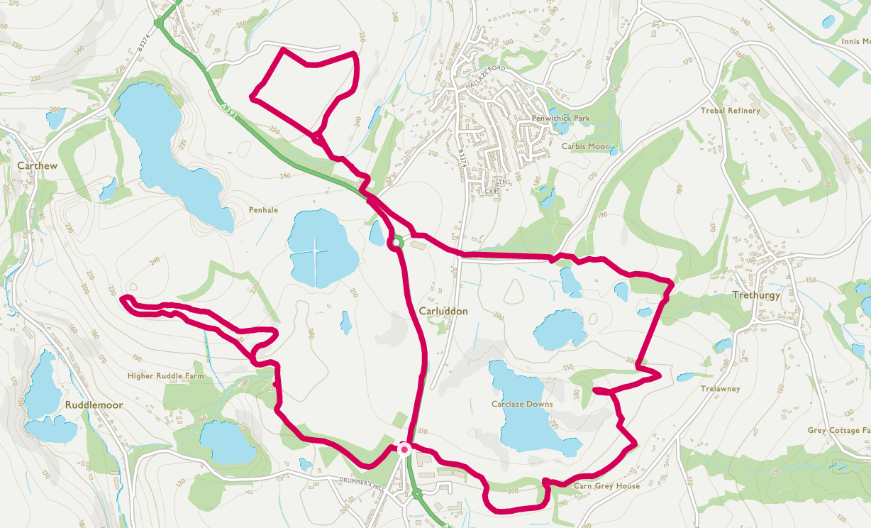 TRIBE #ChoosetoChallenge: Introducing the St Austell Skyline, by Jodie Gauld