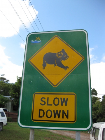Port Macquarie