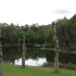 Mt. Coot-tha Gardens Mt. Coot-tha Gardens