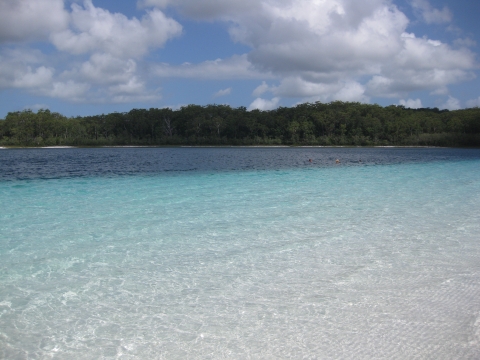 Fraser Island - Lake Mckenzie Fraser Island - Lake Mckenzie