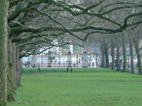 London - Blick vom Green Park Richtung Buckingham Palace London - Blick vom Green Park Richtung Buckingham Palace