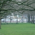 Blick vom Green Park Richtung Buckingham Palace Blick vom Green Park Richtung Buckingham Palace