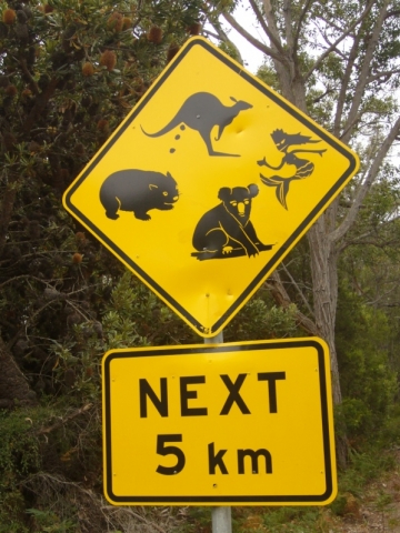 Mallacoota Mallacoota