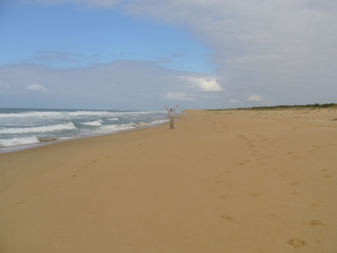 Lakes Entrance - 90 Mile Beach Lakes Entrance - 90 Mile Beach