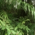 Zoo-Urwald Zoo-Urwald