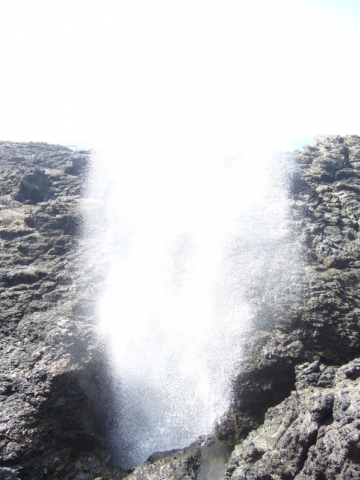 Kiama - Blow Hole Kiama - Blow Hole
