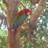 Galibi Zoo Galibi Zoo