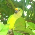 Galibi Zoo Galibi Zoo
