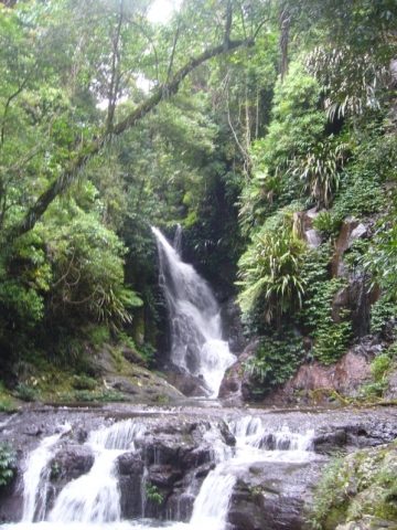 Lamington National Park Lamington National Park