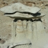 Bisti Bisti