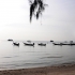 Koh Tao Koh Tao