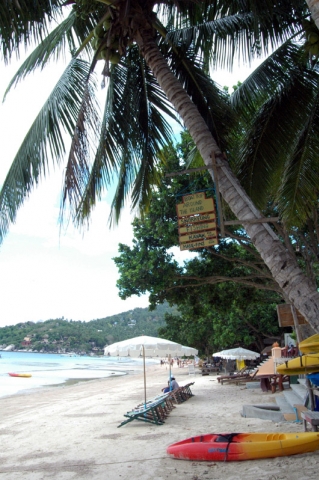 Ko Tao - Koh Tao Sairee Beach Ko Tao - Koh Tao Sairee Beach