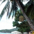 Koh Tao Sairee Beach Koh Tao Sairee Beach