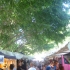 Eumundi Market Eumundi Market