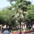 Park Park