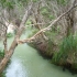 Eli Creek Eli Creek