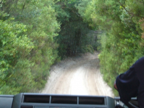 Fraser Island Fraser Island