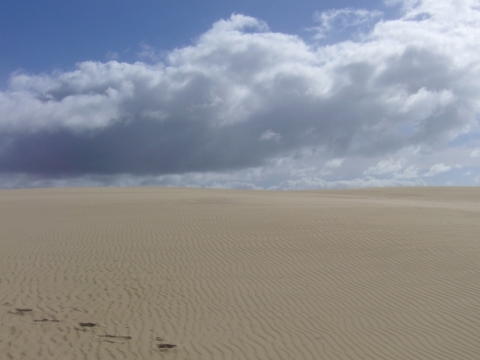 Fraser Island Fraser Island