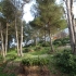Rif-Gebirge
