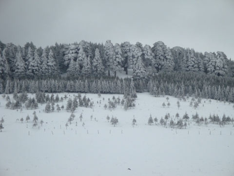 Mittlerer Atlas - Schnee...!