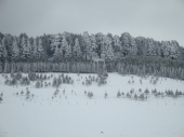 Schnee...!