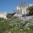 Blumenmeer Blumenmeer