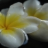 Thailand pur Thailand pur