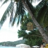 perfekter Urlaub auf Ko Tao perfekter Urlaub auf Ko Tao