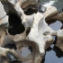 Bourke's Luck Potholes