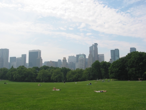 New York - Central Park