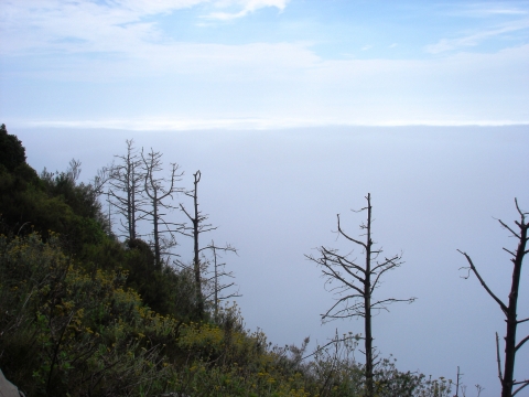 Graskop - Aussichtspunkt Wonder View im Nebel Graskop - Aussichtspunkt Wonder View im Nebel