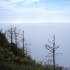 Aussichtspunkt Wonder View im Nebel